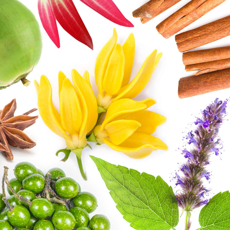 Anami Aphrodisia <br>Sensual Massage Oil