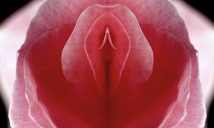 The Yoni Portal Mirror: A Step-by-Step Guide to Your First Self-Intimacy Practice