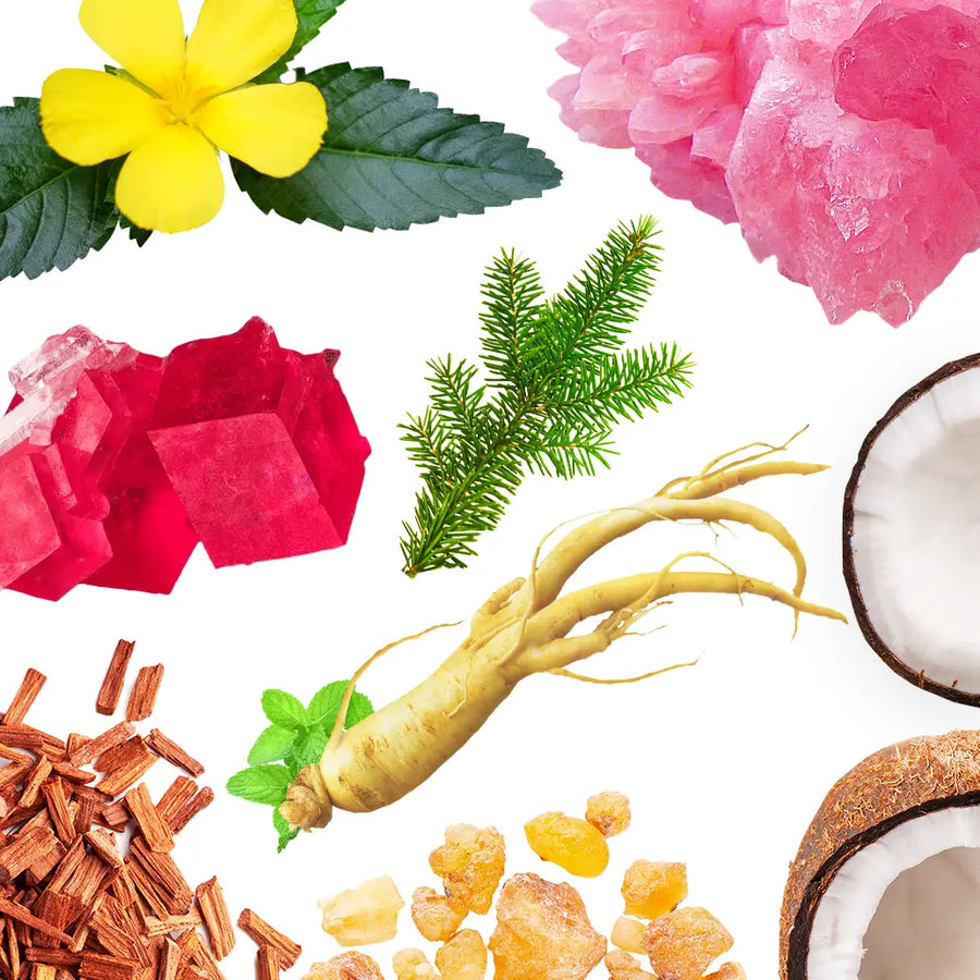 A visual collage-spread of various brightly coloured natural ingredients used in ballistic lingam oil, on a plain white background.
