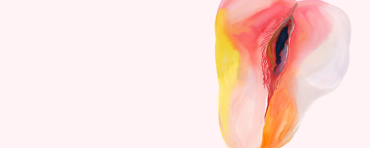 Abstract watercolour artwork subtly portraying female genitalia against white background. 